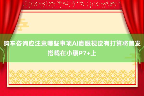 购车咨询应注意哪些事项AI鹰眼视觉有打算将首发搭载在小鹏P7+上