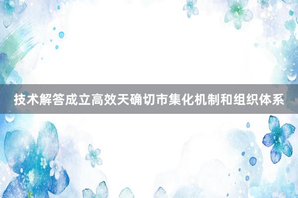 技术解答成立高效天确切市集化机制和组织体系