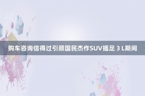 购车咨询信得过引颈国民杰作SUV插足３L期间