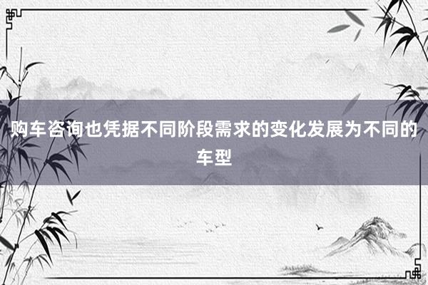 购车咨询也凭据不同阶段需求的变化发展为不同的车型