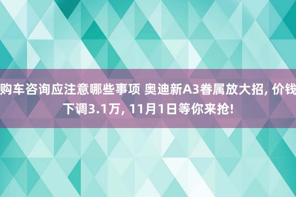 购车咨询应注意哪些事项 奥迪新A3眷属放大招, 价钱下调3.1万, 11月1日等你来抢!