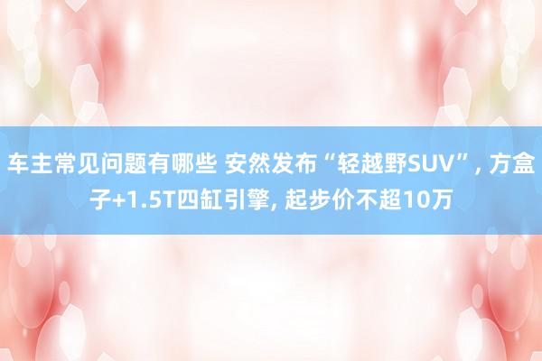 车主常见问题有哪些 安然发布“轻越野SUV”, 方盒子+1.5T四缸引擎, 起步价不超10万