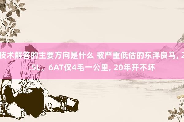 技术解答的主要方向是什么 被严重低估的东洋良马, 2.5L、6AT仅4毛一公里, 20年开不坏