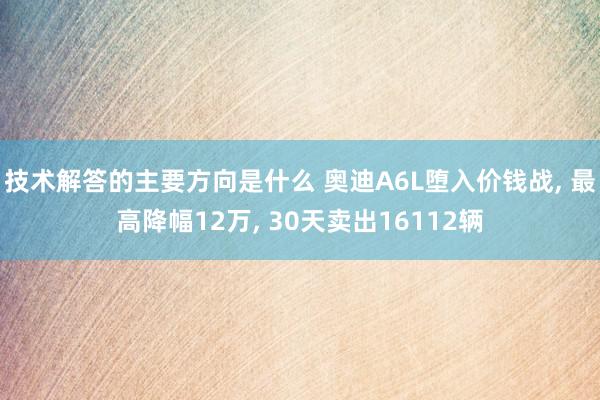 技术解答的主要方向是什么 奥迪A6L堕入价钱战, 最高降幅12万, 30天卖出16112辆