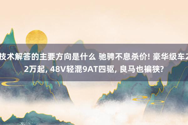 技术解答的主要方向是什么 驰骋不息杀价! 豪华级车22万起, 48V轻混9AT四驱, 良马也褊狭?