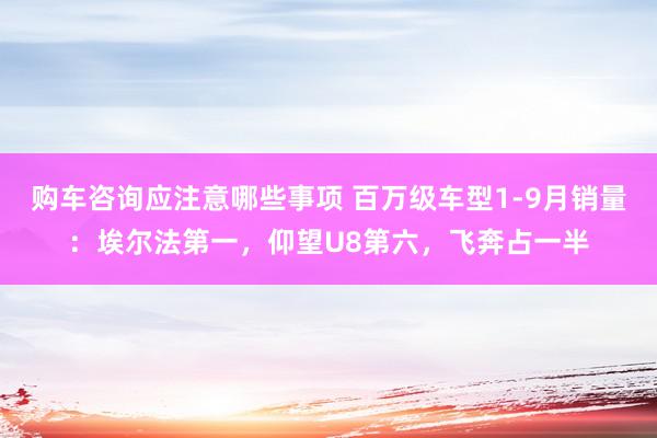 购车咨询应注意哪些事项 百万级车型1-9月销量：埃尔法第一，仰望U8第六，飞奔占一半