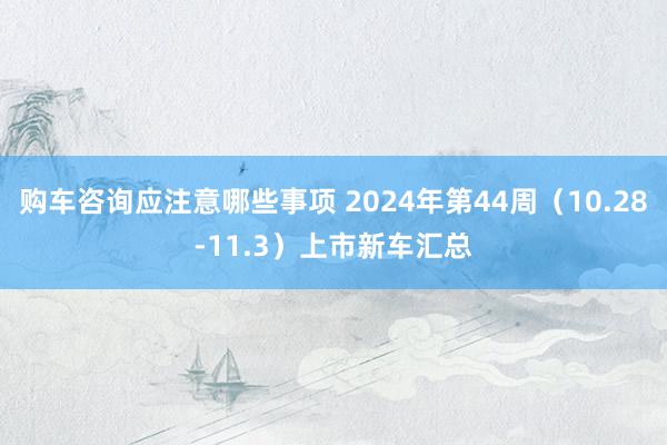 购车咨询应注意哪些事项 2024年第44周（10.28-11.3）上市新车汇总