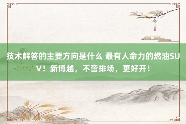 技术解答的主要方向是什么 最有人命力的燃油SUV！新博越，不啻排场，更好开！