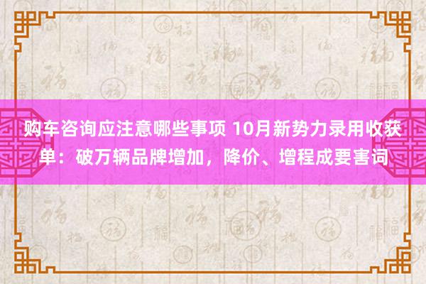 购车咨询应注意哪些事项 10月新势力录用收获单：破万辆品牌增加，降价、增程成要害词