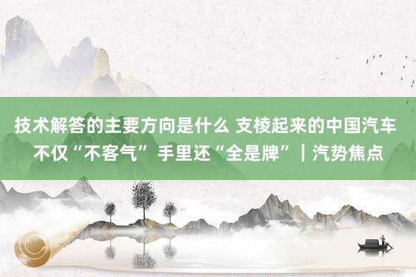 技术解答的主要方向是什么 支棱起来的中国汽车 不仅“不客气” 手里还“全是牌”｜汽势焦点