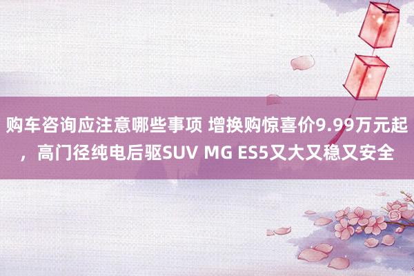 购车咨询应注意哪些事项 增换购惊喜价9.99万元起，高门径纯电后驱SUV MG ES5又大又稳又安全