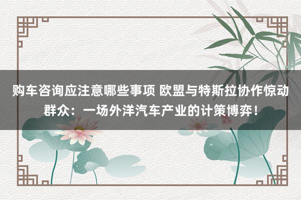 购车咨询应注意哪些事项 欧盟与特斯拉协作惊动群众：一场外洋汽车产业的计策博弈！