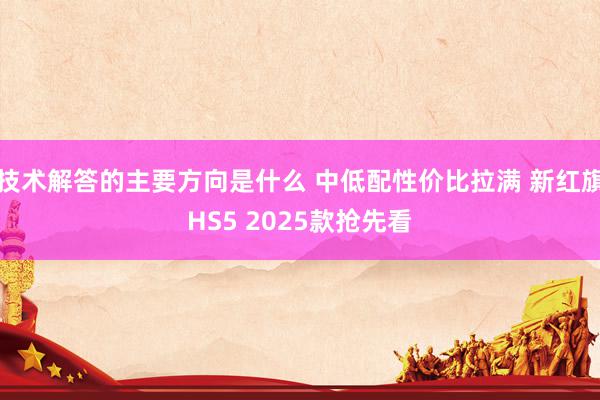 技术解答的主要方向是什么 中低配性价比拉满 新红旗HS5 2025款抢先看