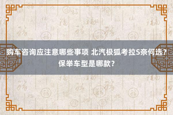 购车咨询应注意哪些事项 北汽极狐考拉S奈何选？保举车型是哪款？