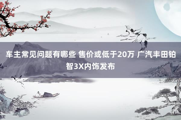 车主常见问题有哪些 售价或低于20万 广汽丰田铂智3X内饰发布