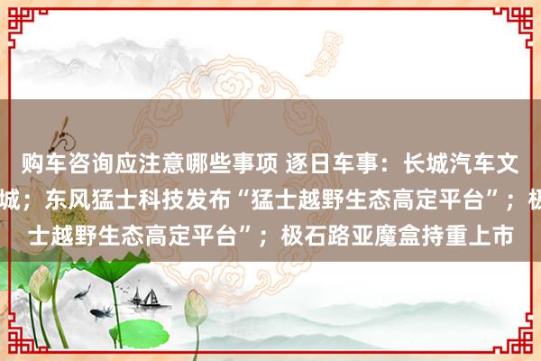 购车咨询应注意哪些事项 逐日车事：长城汽车文牍全场景NOA寰宇开城；东风猛士科技发布“猛士越野生态高定平台”；极石路亚魔盒持重上市