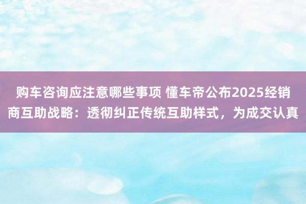 购车咨询应注意哪些事项 懂车帝公布2025经销商互助战略：透彻纠正传统互助样式，为成交认真