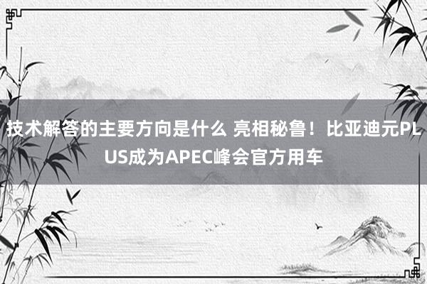 技术解答的主要方向是什么 亮相秘鲁！比亚迪元PLUS成为APEC峰会官方用车