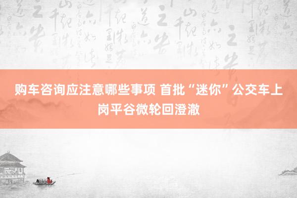 购车咨询应注意哪些事项 首批“迷你”公交车上岗平谷微轮回澄澈