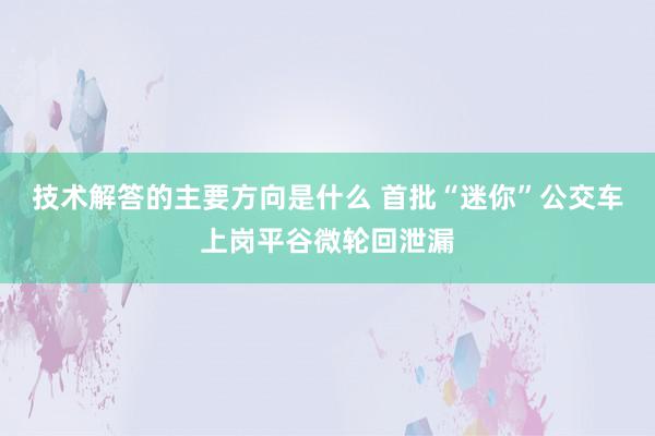 技术解答的主要方向是什么 首批“迷你”公交车上岗平谷微轮回泄漏