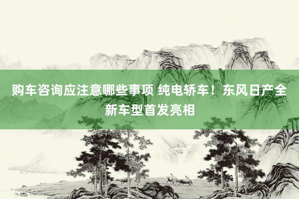 购车咨询应注意哪些事项 纯电轿车！东风日产全新车型首发亮相