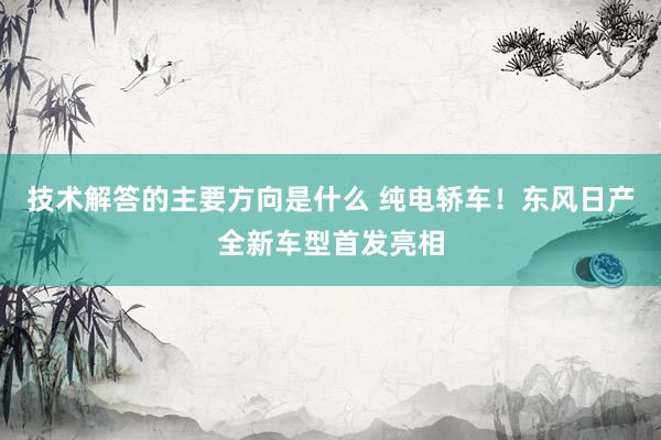 技术解答的主要方向是什么 纯电轿车！东风日产全新车型首发亮相