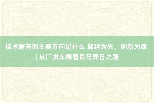 技术解答的主要方向是什么 驾趣为先，创新为魂 | 从广州车展看良马异日之路