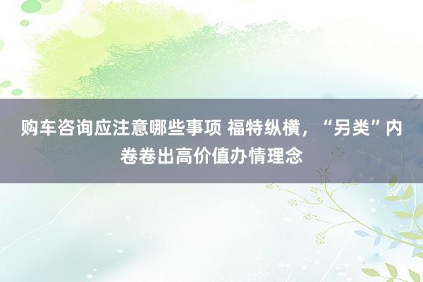 购车咨询应注意哪些事项 福特纵横，“另类”内卷卷出高价值办情理念