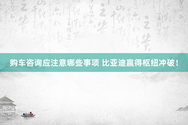 购车咨询应注意哪些事项 比亚迪赢得枢纽冲破！