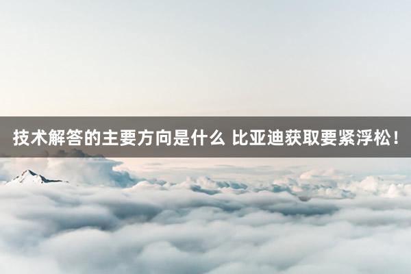 技术解答的主要方向是什么 比亚迪获取要紧浮松！