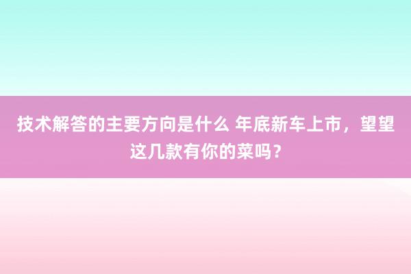 技术解答的主要方向是什么 年底新车上市，望望这几款有你的菜吗？