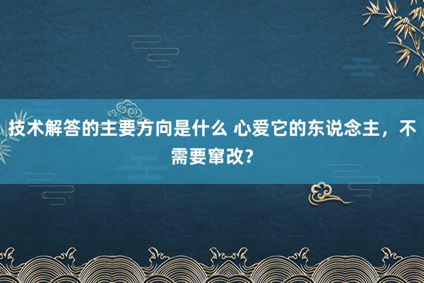 技术解答的主要方向是什么 心爱它的东说念主，不需要窜改？