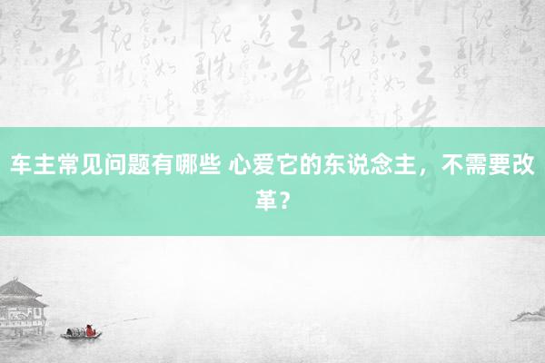 车主常见问题有哪些 心爱它的东说念主，不需要改革？