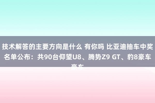 技术解答的主要方向是什么 有你吗 比亚迪抽车中奖名单公布：共90台仰望U8、腾势Z9 GT、豹8豪车