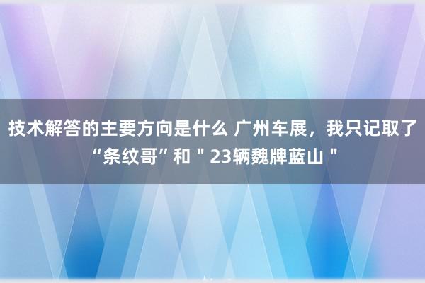 技术解答的主要方向是什么 广州车展，我只记取了“条纹哥”和＂23辆魏牌蓝山＂