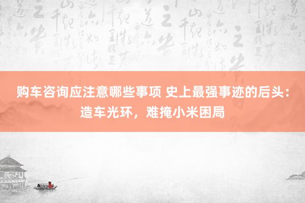 购车咨询应注意哪些事项 史上最强事迹的后头：造车光环，难掩小米困局