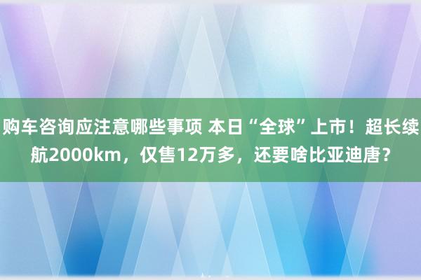 购车咨询应注意哪些事项 本日“全球”上市！超长续航2000km，仅售12万多，还要啥比亚迪唐？