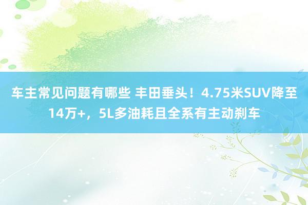 车主常见问题有哪些 丰田垂头！4.75米SUV降至14万+，5L多油耗且全系有主动刹车