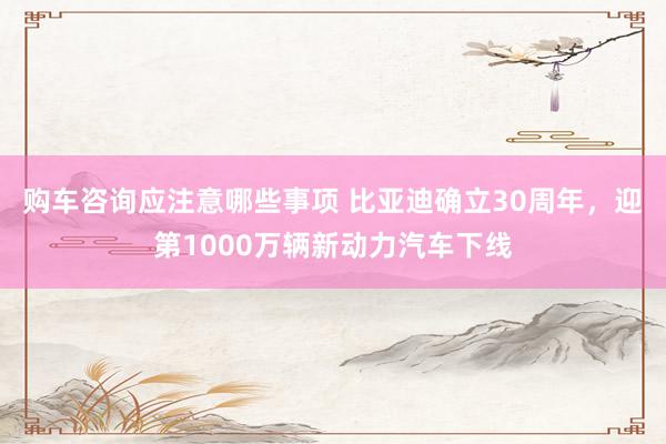 购车咨询应注意哪些事项 比亚迪确立30周年，迎第1000万辆新动力汽车下线