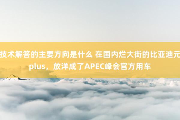 技术解答的主要方向是什么 在国内烂大街的比亚迪元plus，放洋成了APEC峰会官方用车