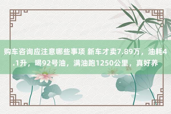 购车咨询应注意哪些事项 新车才卖7.89万，油耗4.1升，喝92号油，满油跑1250公里，真好养