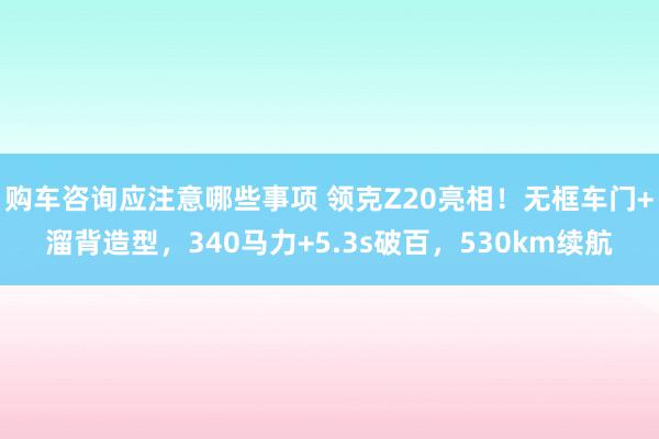 购车咨询应注意哪些事项 领克Z20亮相！无框车门+溜背造型，340马力+5.3s破百，530km续航