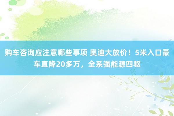 购车咨询应注意哪些事项 奥迪大放价！5米入口豪车直降20多万，全系强能源四驱