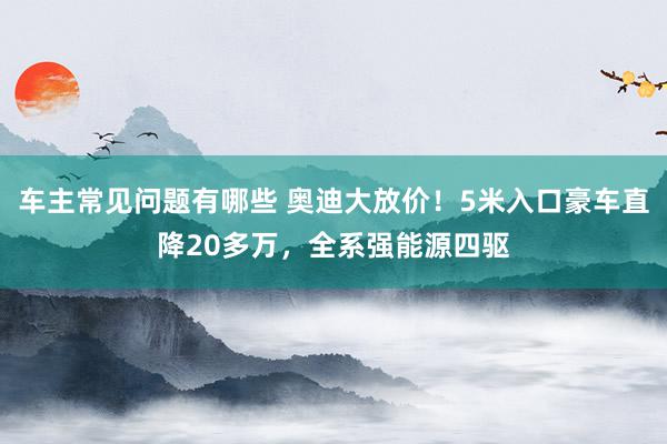 车主常见问题有哪些 奥迪大放价！5米入口豪车直降20多万，全系强能源四驱