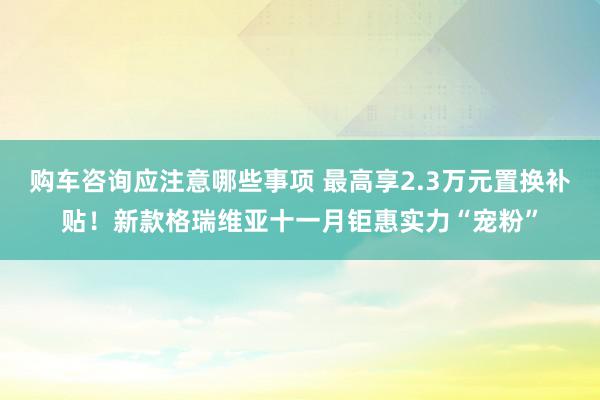 购车咨询应注意哪些事项 最高享2.3万元置换补贴！新款格瑞维亚十一月钜惠实力“宠粉”