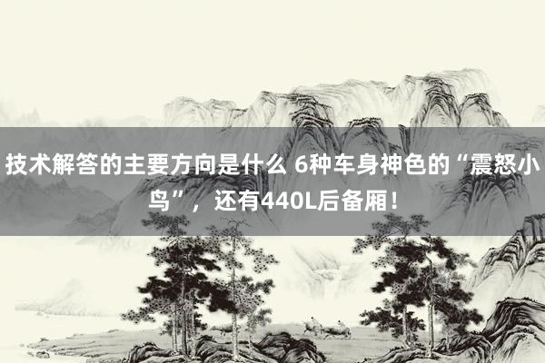 技术解答的主要方向是什么 6种车身神色的“震怒小鸟”，还有440L后备厢！