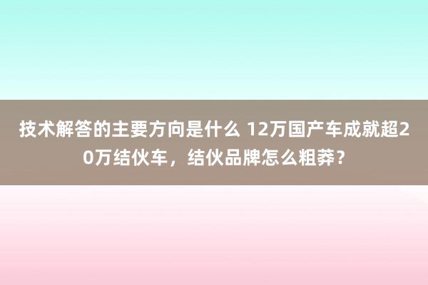 技术解答的主要方向是什么 12万国产车成就超20万结伙车，结伙品牌怎么粗莽？