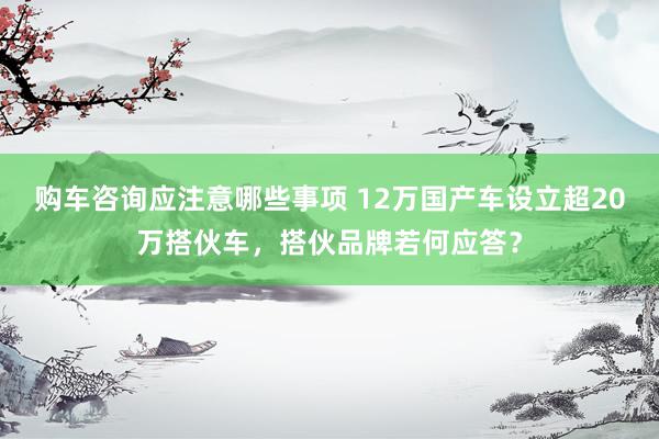 购车咨询应注意哪些事项 12万国产车设立超20万搭伙车，搭伙品牌若何应答？