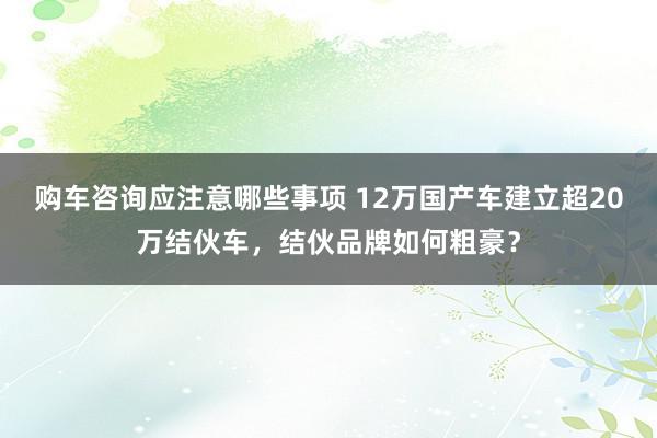 购车咨询应注意哪些事项 12万国产车建立超20万结伙车，结伙品牌如何粗豪？