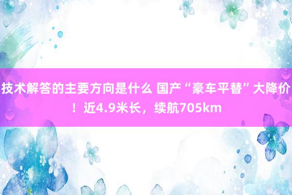 技术解答的主要方向是什么 国产“豪车平替”大降价！近4.9米长，续航705km